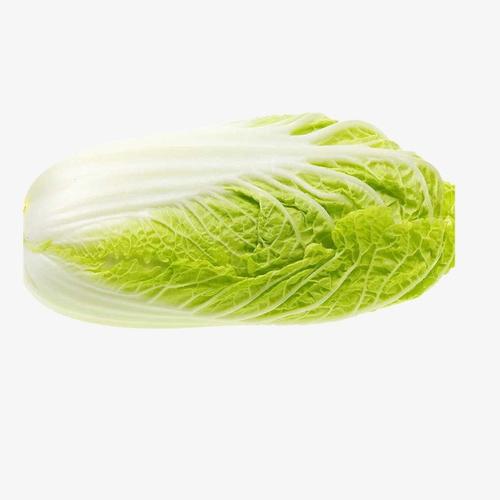 蔬菜配送價格表 2024-9-18
